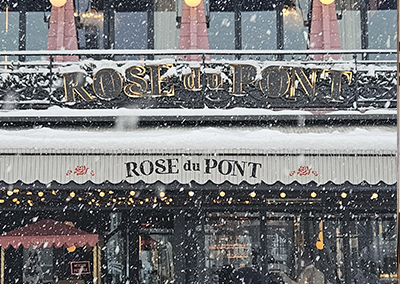 Rose Du Pont